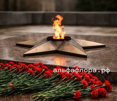 Что несут к мемориалу на 9 Мая: как выбрать цветы с уважением и смыслом
