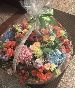 василиса.jpg василиса.jpg