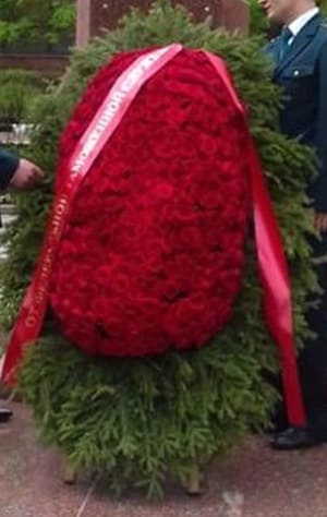 арина.jpg