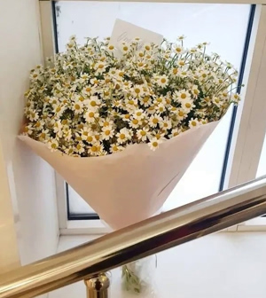 марина.jpg